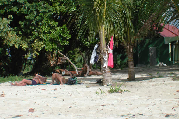 A Photo Walk along Negril's Famous Seven Mile Beach - Negril Travel Guide, Negril Jamaica WI - http://www.negriltravelguide.com - info@negriltravelguide.com...!